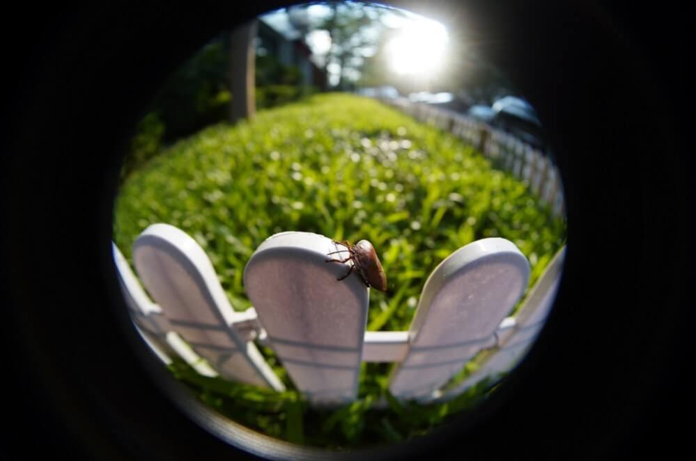 TTArtisan TTArtisan 7.5mm f/2.0 Fisheye-objektiv for Nikon Z APS-C
