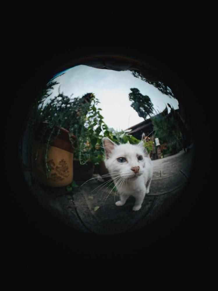 7Artisans 7Artisans 4mm f/2.8 Fisheye-objektiv APS-C for Sony E