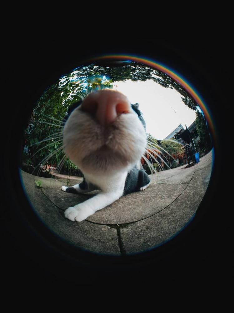 7Artisans 7Artisans 4mm f/2.8 Fisheye-objektiv APS-C for Sony E