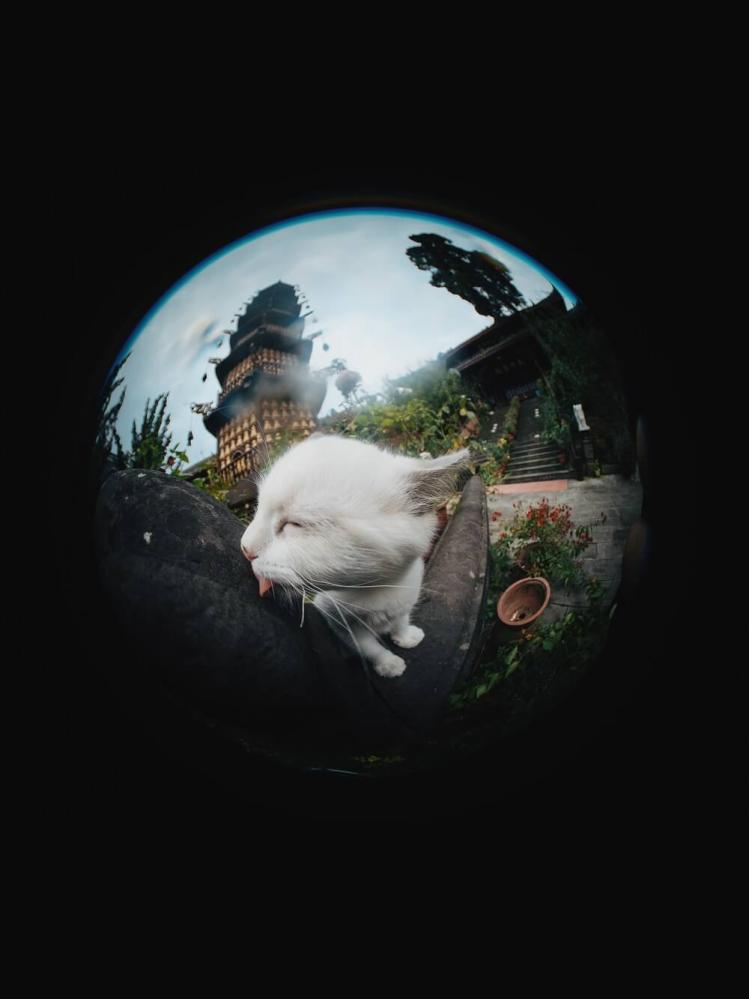 7Artisans 7Artisans 4mm f/2.8 Fisheye-objektiv APS-C for Sony E