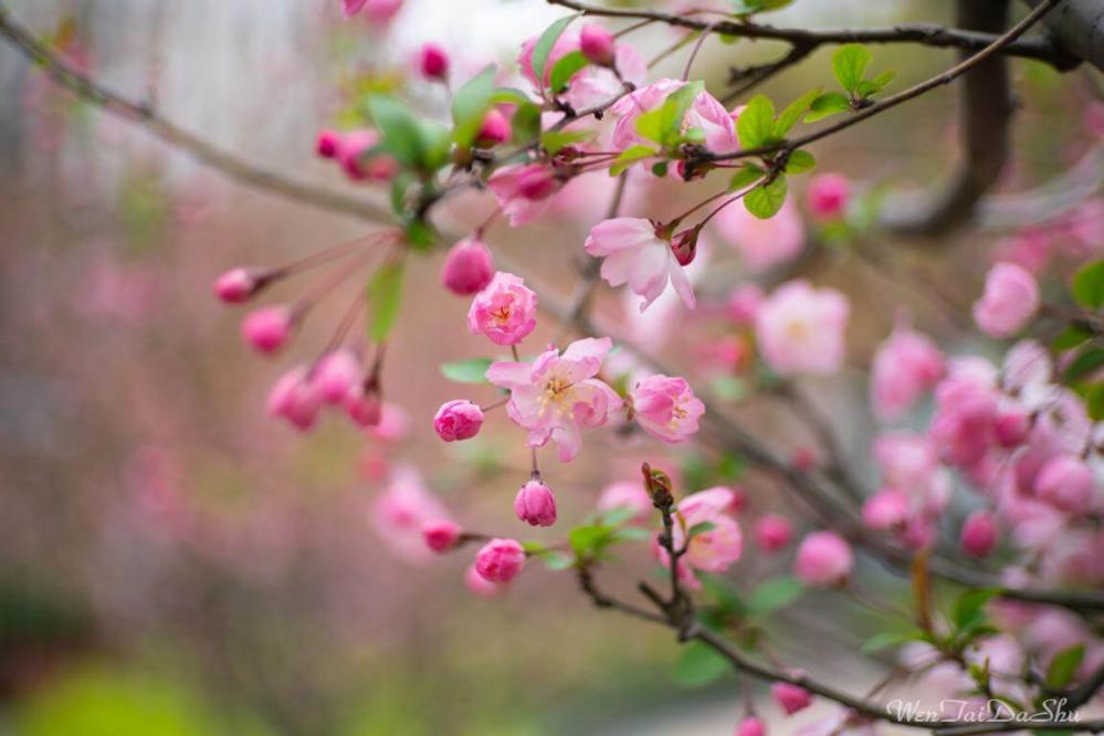  7Artisans 35mm f/1.4 objektiv APS-C for Fujifilm X Rask levering fra Sverige.