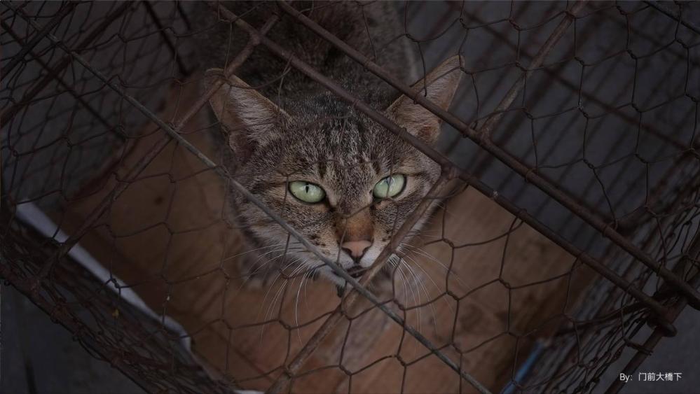  TTArtisan AF 27mm f/2.8 APS-C objektiv for Fujifilm X Rask levering fra Sverige.