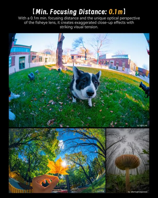  7Artisans 6mm f/2.0 – extremt fisheye-objektiv för Fujifilm X (APS-C) Rask levering fra Sverige.